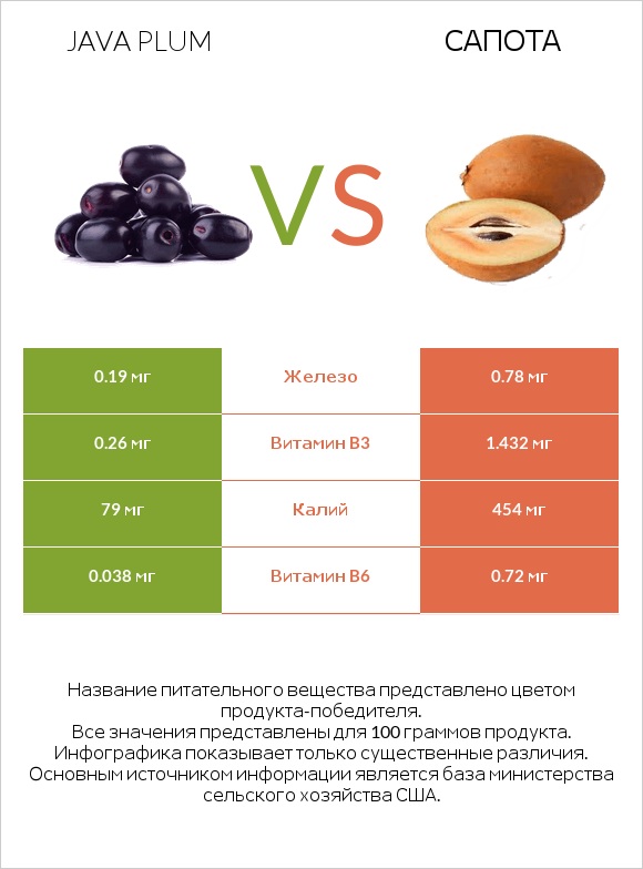 Java plum vs Сапота infographic