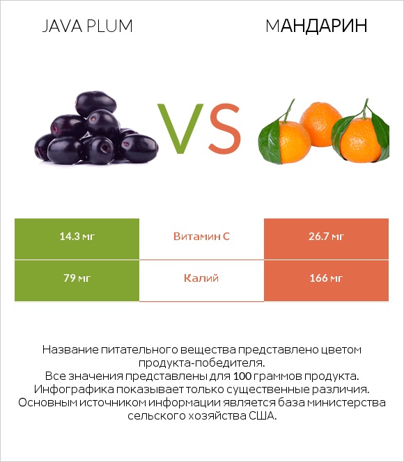 Java plum vs Mандарин infographic