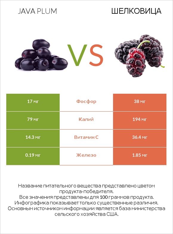Java plum vs Шелковица infographic