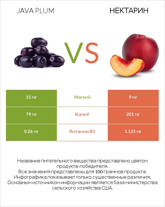 Java plum vs Нектарин infographic