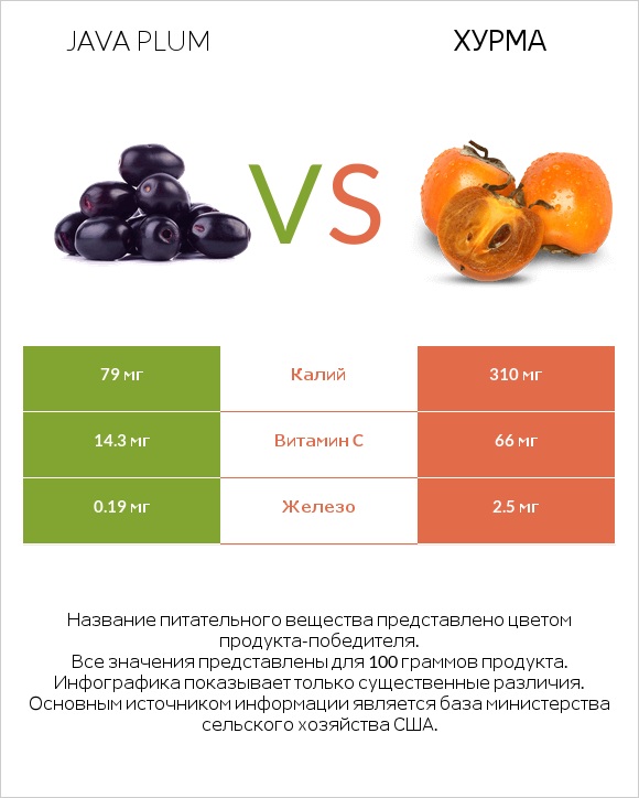 Java plum vs Хурма infographic