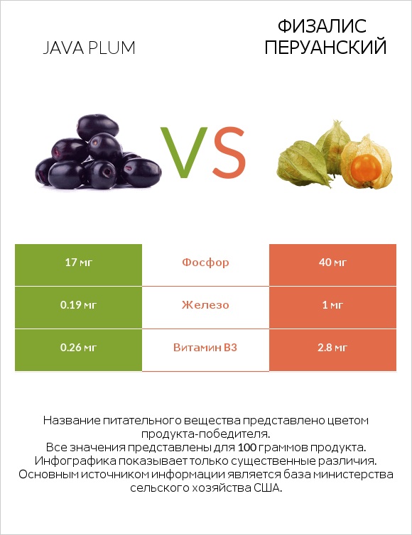 Java plum vs Физалис перуанский infographic