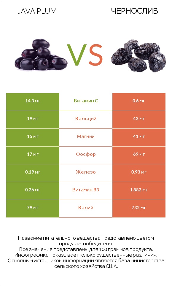 Java plum vs Чернослив infographic