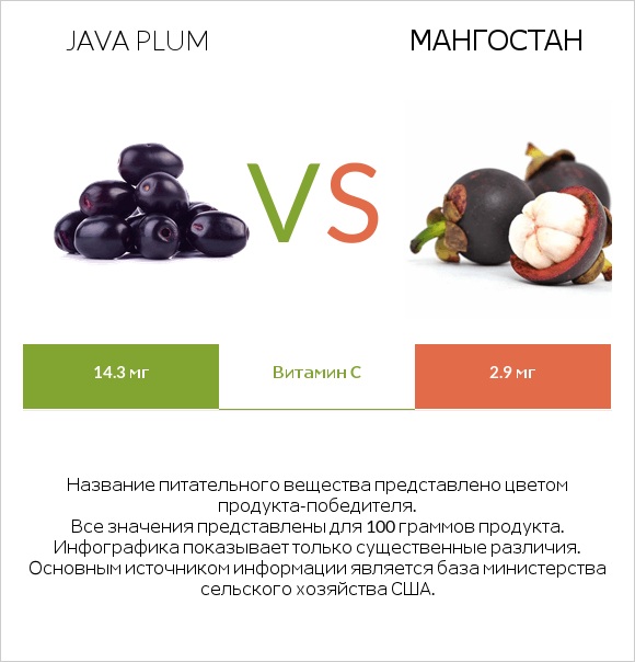 Java plum vs Мангостан infographic