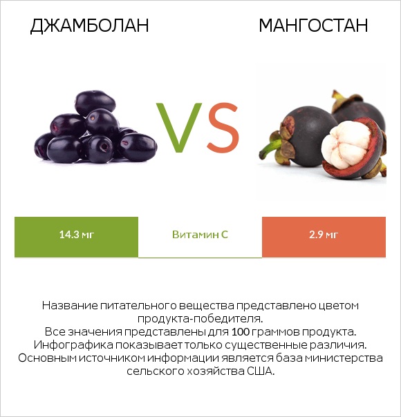 Java plum vs Мангостан infographic