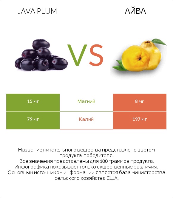 Java plum vs Айва infographic