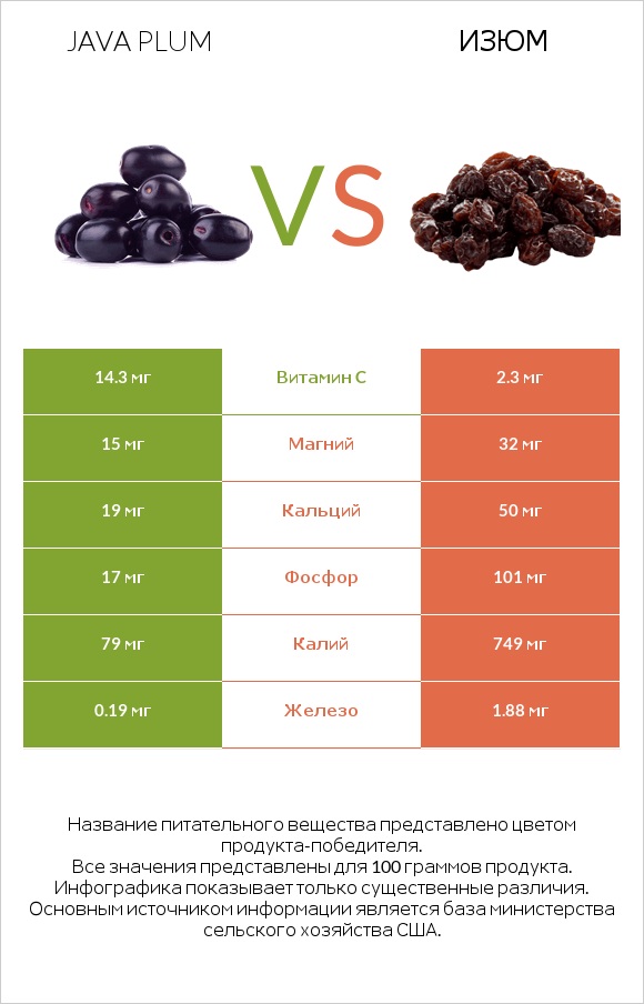 Java plum vs Изюм infographic