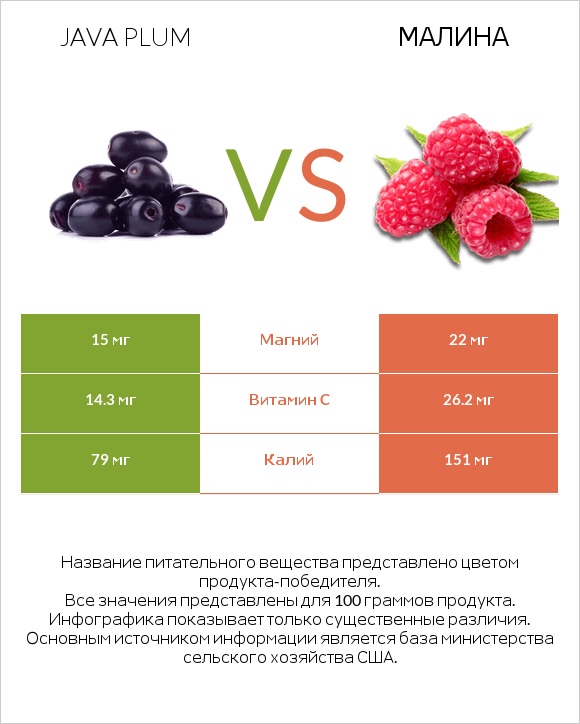 Java plum vs Малина infographic