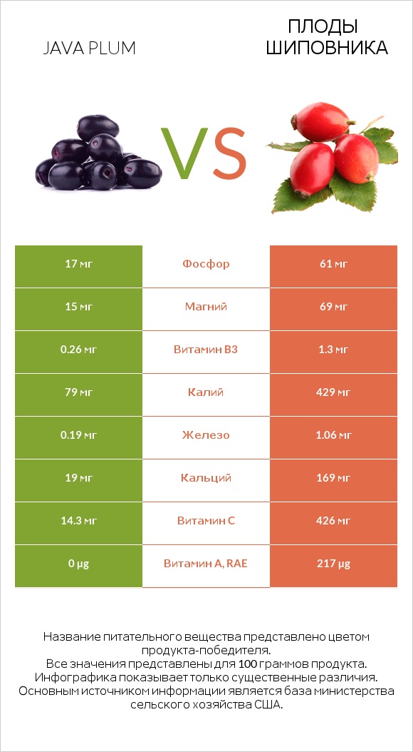 Java plum vs Плоды шиповника infographic