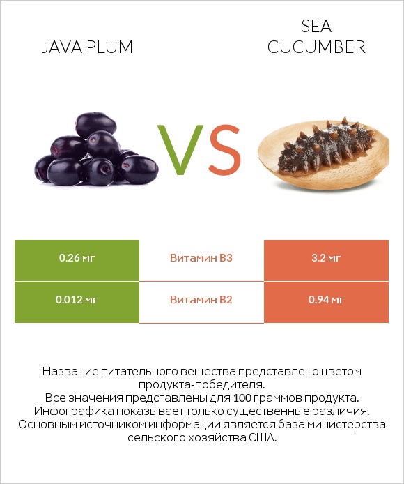Java plum vs Sea cucumber infographic