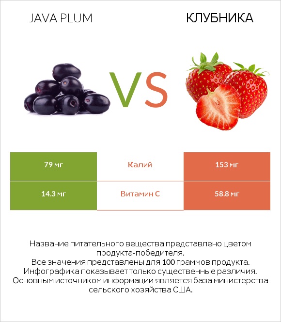 Java plum vs Клубника infographic
