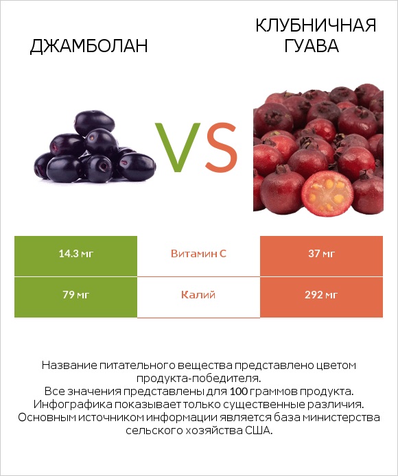 Джамболан vs Клубничная гуава infographic