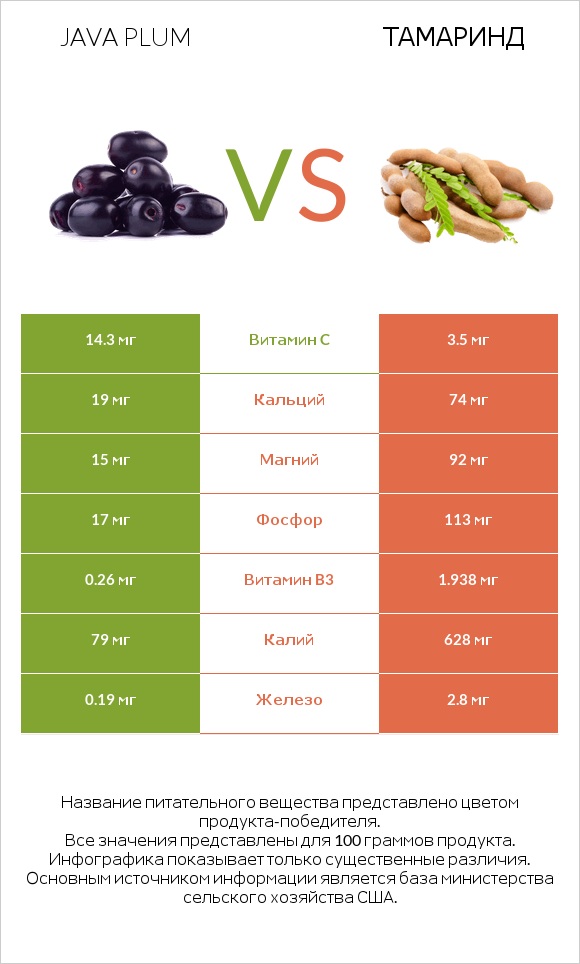 Java plum vs Тамаринд infographic