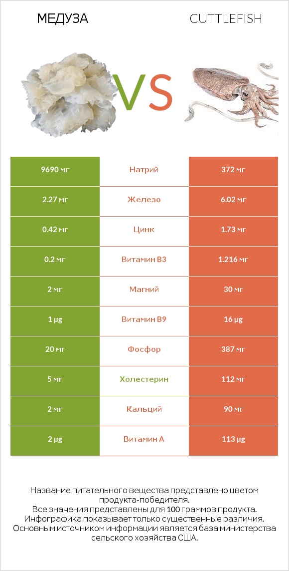 Медуза vs Cuttlefish infographic