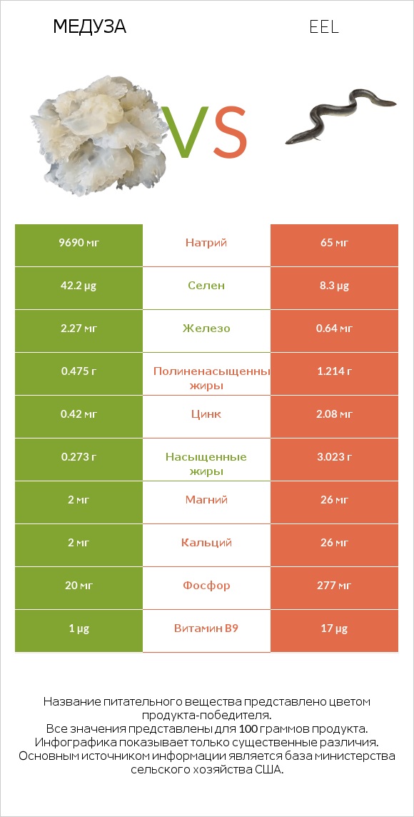 Медуза vs Eel infographic