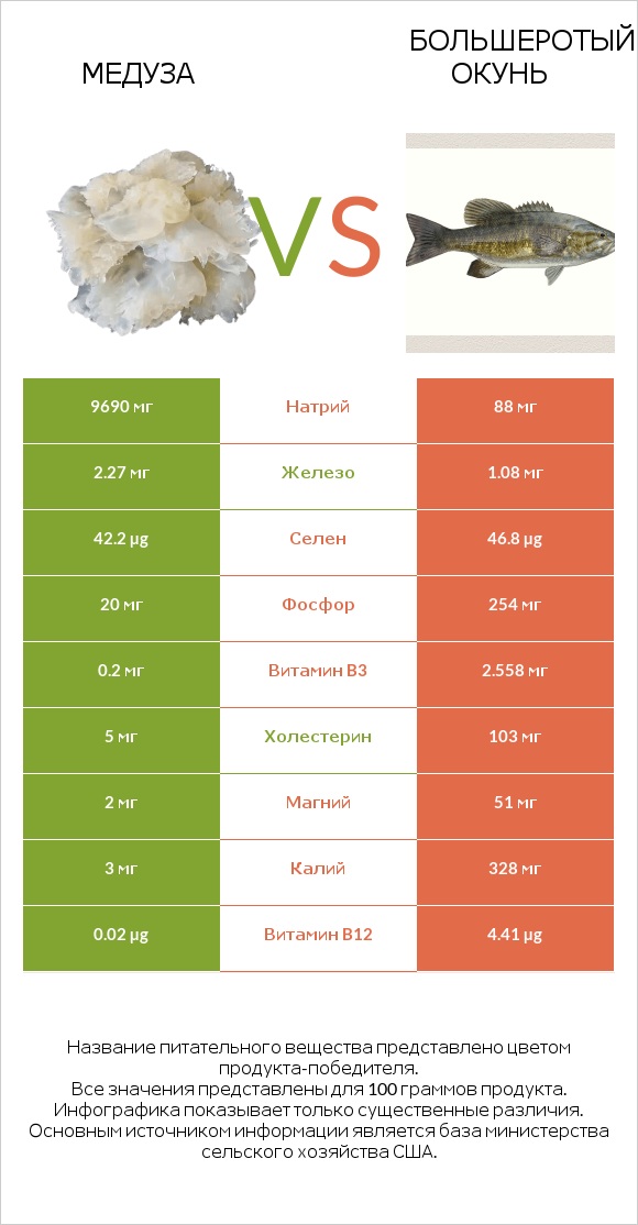 Медуза vs Большеротый окунь infographic