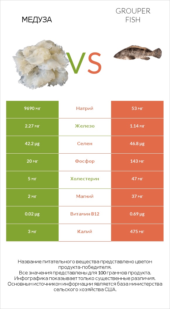 Медуза vs Grouper fish infographic