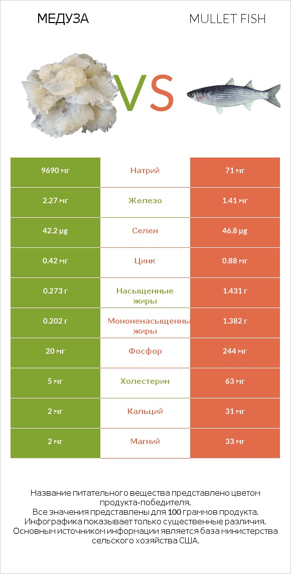 Медуза vs Mullet fish infographic