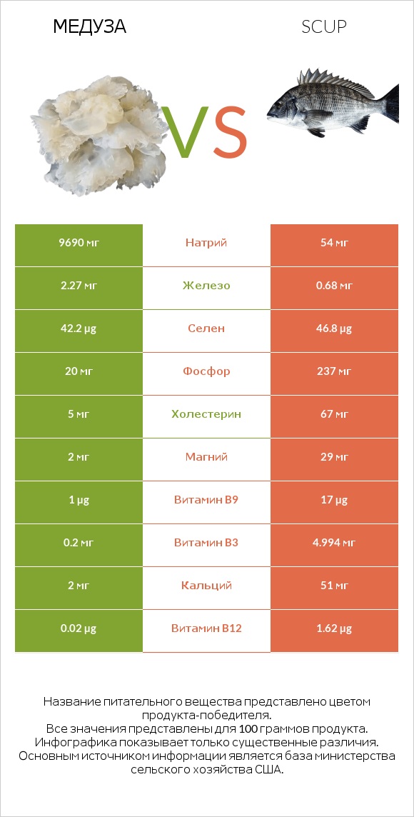 Медуза vs Scup infographic