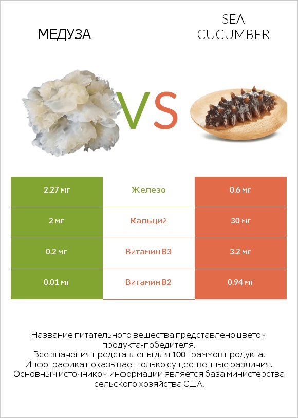 Медуза vs Sea cucumber infographic