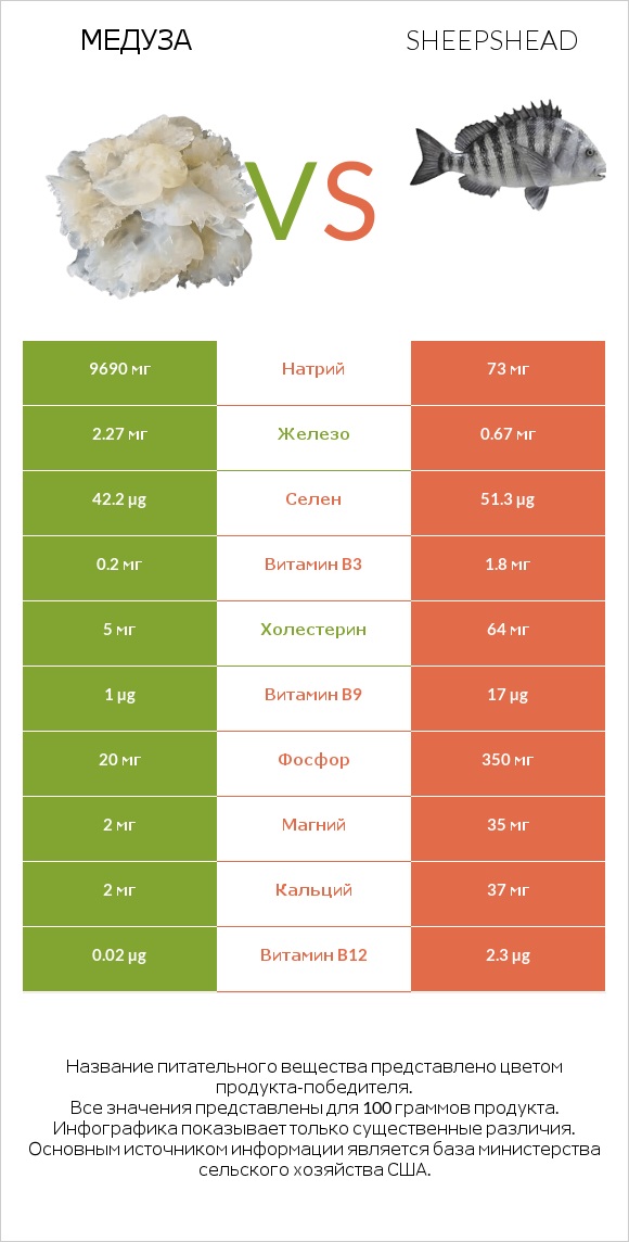 Медуза vs Sheepshead infographic