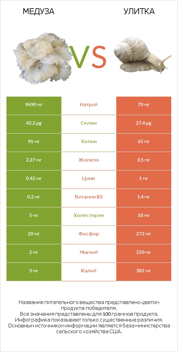 Медуза vs Улитка infographic