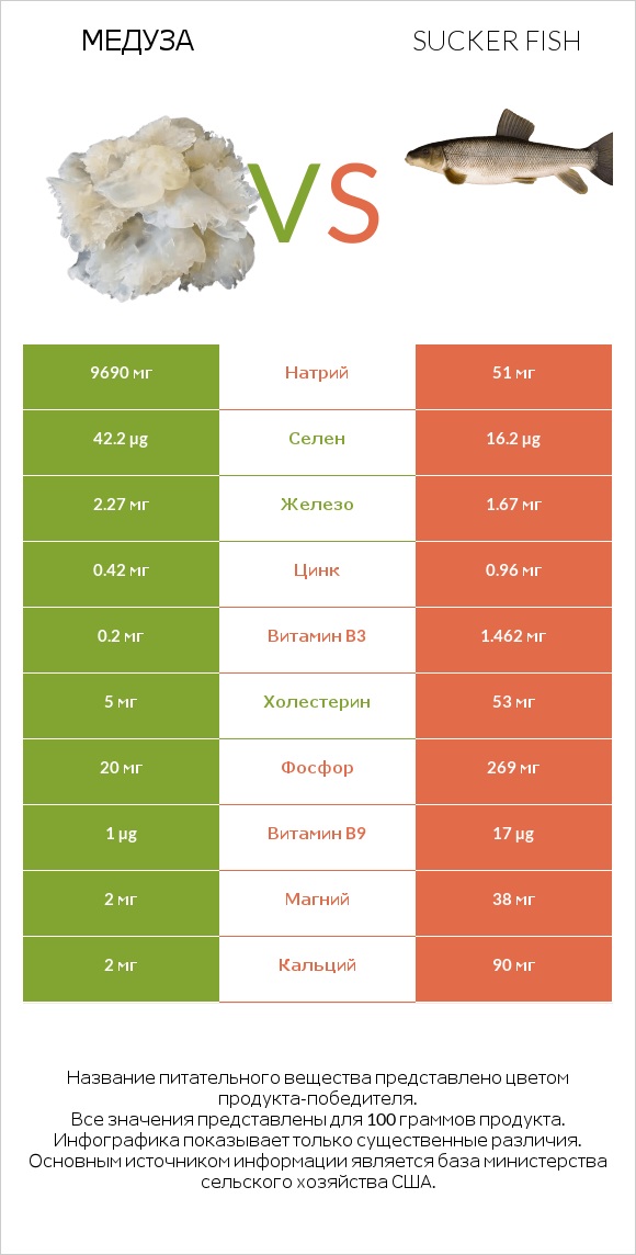 Медуза vs Sucker fish infographic