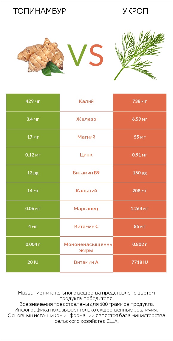 Топинамбур vs Укроп infographic