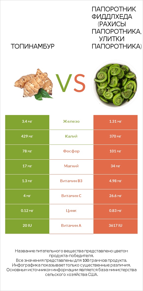 Топинамбур vs Fiddlehead ferns infographic