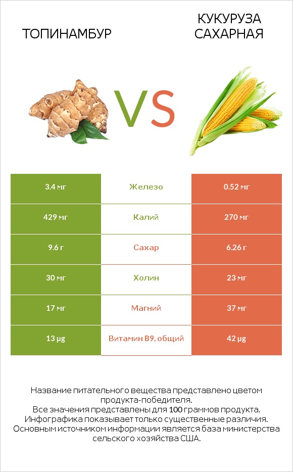 Топинамбур vs Кукуруза сахарная infographic