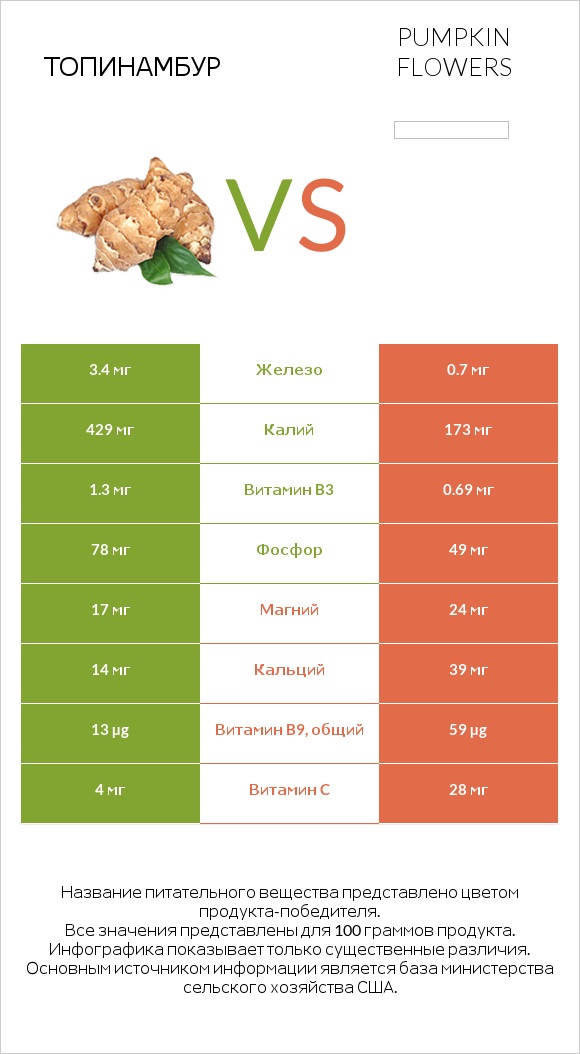 Топинамбур vs Pumpkin flowers infographic