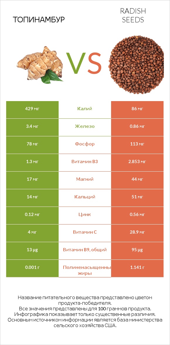 Топинамбур vs Radish seeds infographic