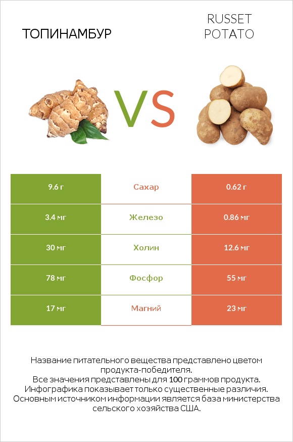 Топинамбур vs Russet potato infographic
