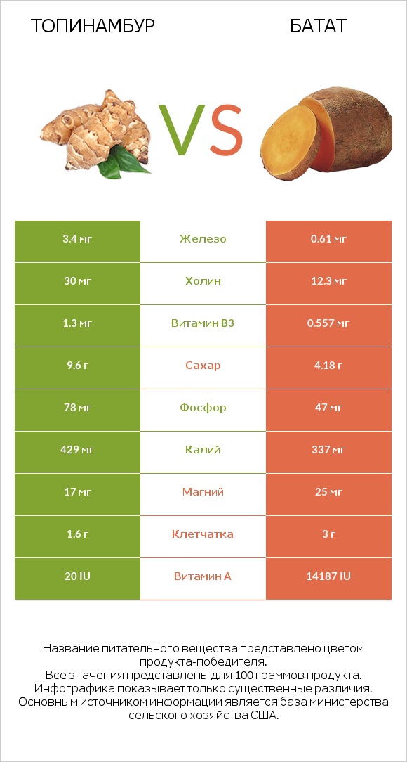 Топинамбур vs Батат infographic