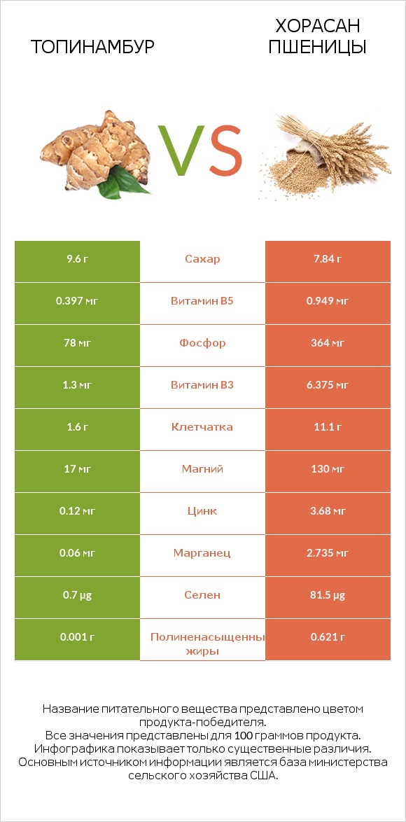 Топинамбур vs Хорасан пшеницы infographic