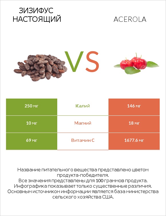 Зизифус настоящий vs Acerola infographic
