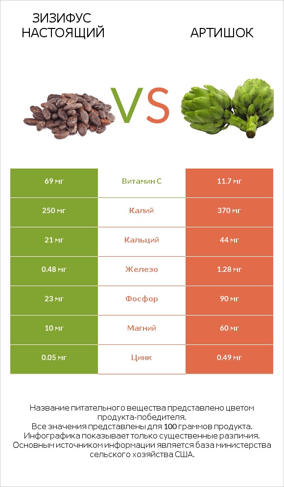 Зизифус настоящий vs Артишок infographic
