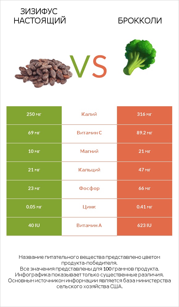 Зизифус настоящий vs Брокколи infographic