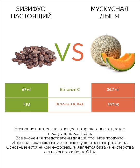 Зизифус настоящий vs Мускусная дыня infographic