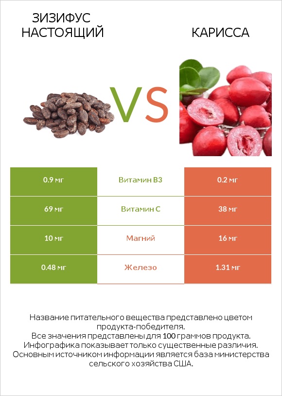 Зизифус настоящий vs Карисса infographic