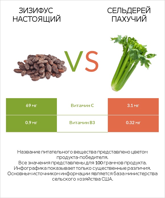 Зизифус настоящий vs Сельдерей пахучий infographic