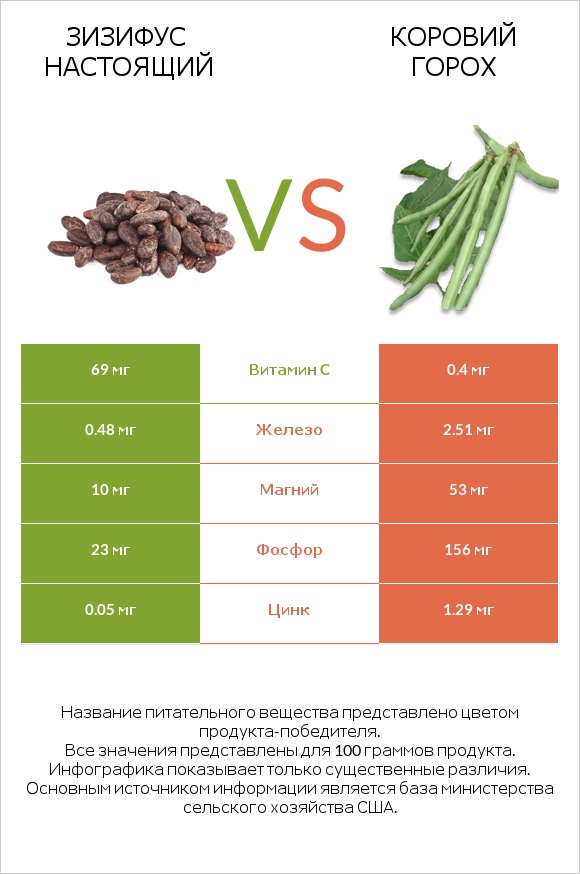 Зизифус настоящий vs Коровий горох infographic