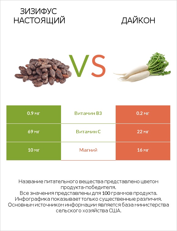 Зизифус настоящий vs Дайкон infographic