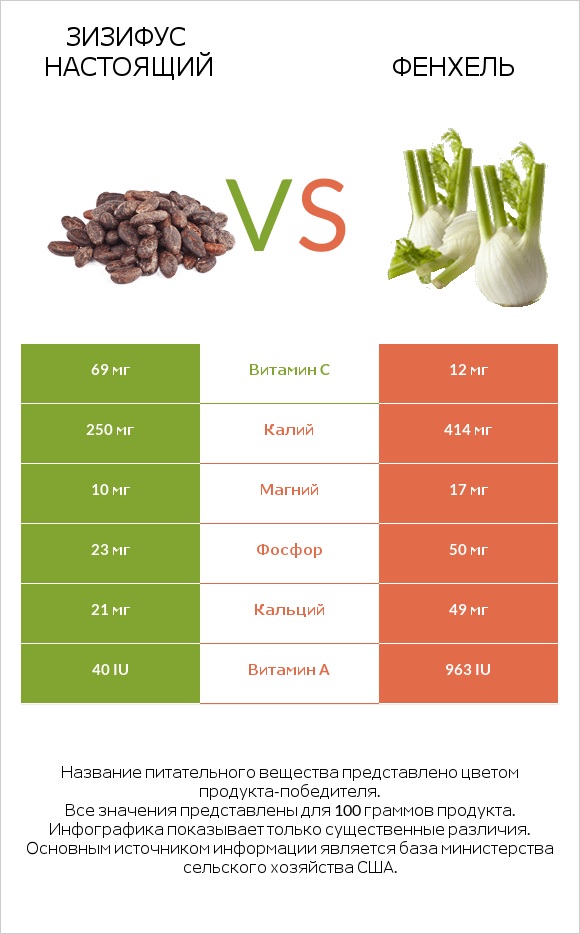 Зизифус настоящий vs Фенхель infographic