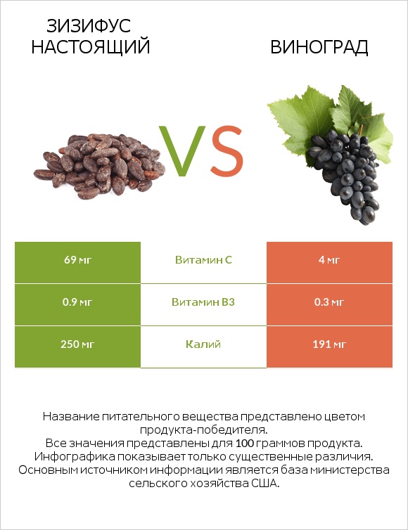 Зизифус настоящий vs Виноград infographic