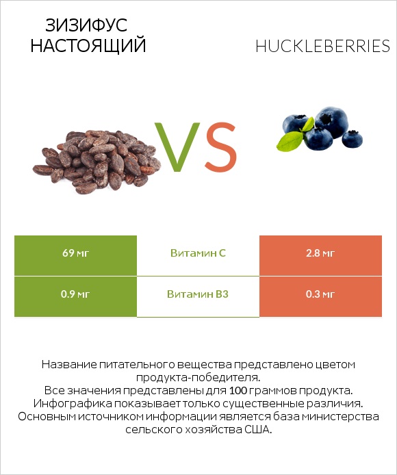 Зизифус настоящий vs Huckleberries infographic