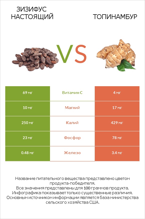 Зизифус настоящий vs Топинамбур infographic