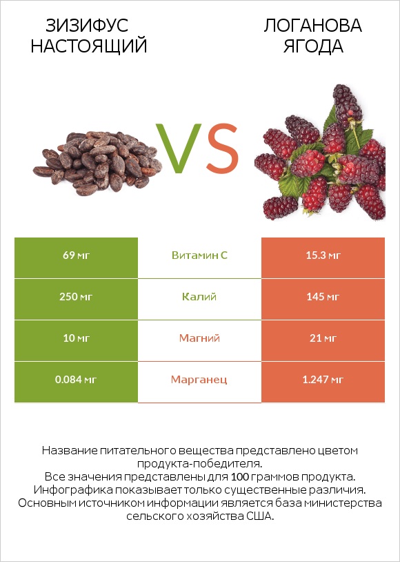 Зизифус настоящий vs Логанова ягода infographic