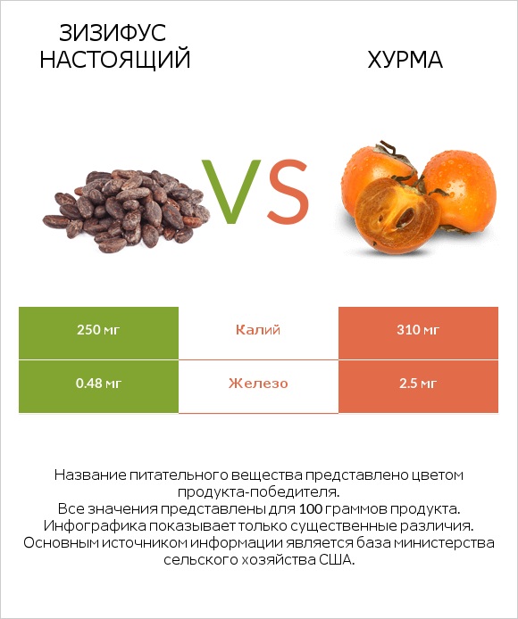 Зизифус настоящий vs Хурма infographic