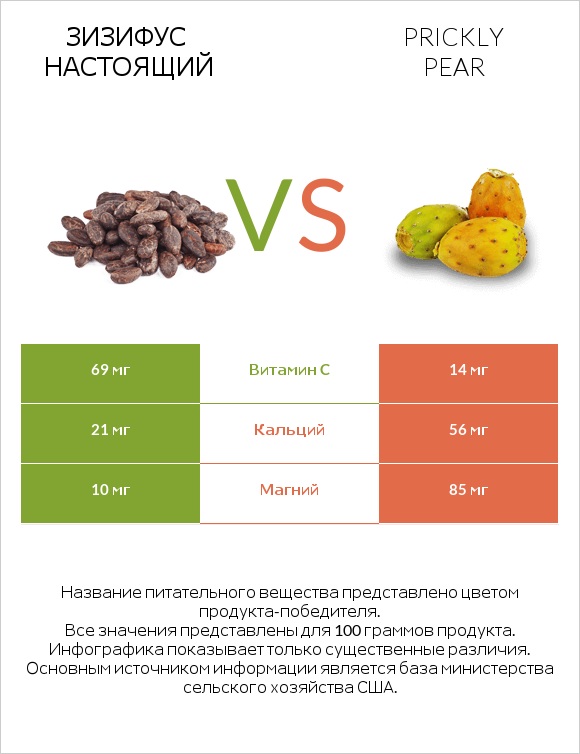 Зизифус настоящий vs Prickly pear infographic